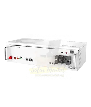 Dyness 2.56kWh Solar Battery for Home and Small Business Backup 25.6V 100Ah Li-ion LFP 90% DoD CAN/RS485/Wifi IP20 (DL2.5)