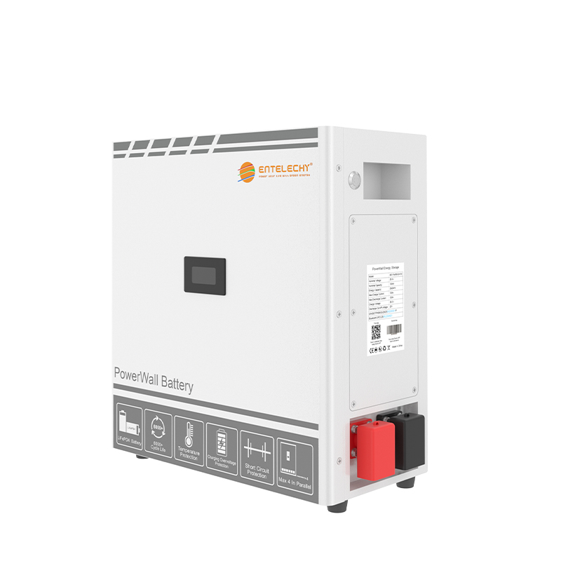 Entelechy 5.12kWh Solar Battery for Home and Small Business Backup 51.2V 100Ah Lithium Battery 95% DoD 6000 Cycles RS485/CAN/RS232 (BST-PWBA48100)