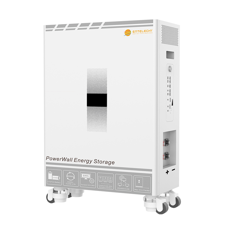Entelechy 15.36kWh 51.2V 200A Solar Battery for Home and Small Business Backup 95% DoD 6000 Cycles RS485/CAN/RS232 IP21 (BST-PWBA48300)