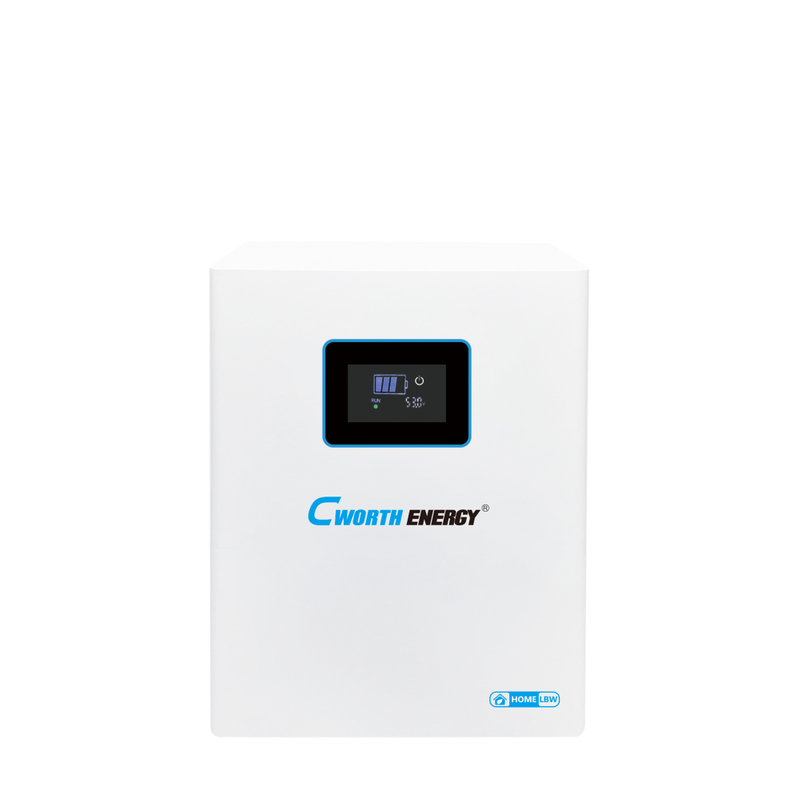 Cworth 2.5kWh 25.6V Lithium Solar Battery for Home and Small Business Backup 100A Max Charge/Discharge 26000 Cycles 80% DoD IP21 RS485 CAN 1-6 Parallel (CE-LBW-24100C)