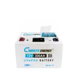 Cworth 3.84kWh 12.8V Lithium Solar Battery for Home Solar Storage with 150A Max Current, 3200 Cycle Life, IP21, Up to 4 Parallel (CE-GCL-12300)