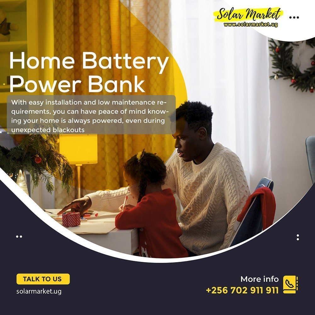 Premium Apartment Power Bank Apartment Battery Power Backup system solar market uganda